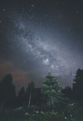 Night Sky 4